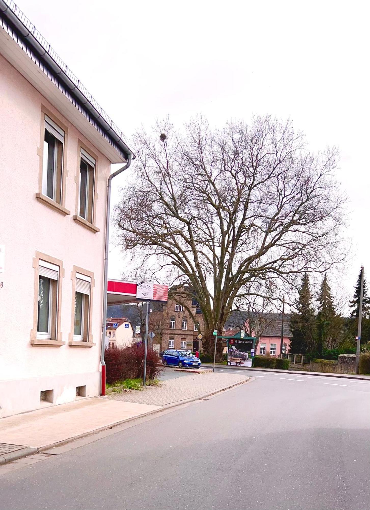 Vinaring Homestay Bad Sobernheim Esterno foto